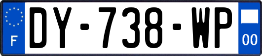 DY-738-WP