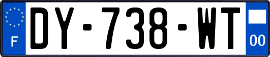 DY-738-WT