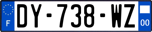 DY-738-WZ