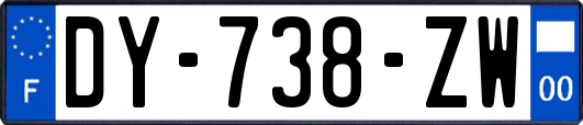 DY-738-ZW