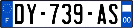 DY-739-AS