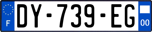 DY-739-EG