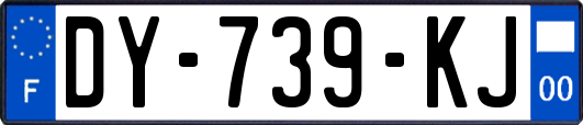 DY-739-KJ