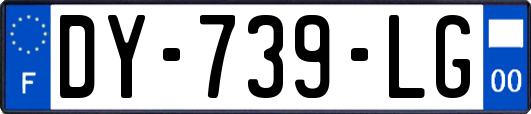 DY-739-LG