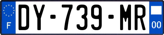 DY-739-MR
