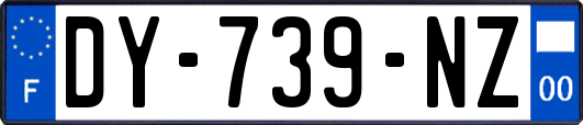 DY-739-NZ