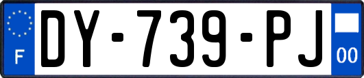 DY-739-PJ