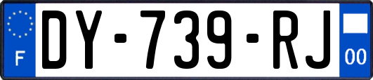 DY-739-RJ