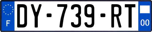 DY-739-RT