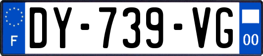 DY-739-VG