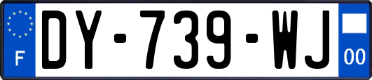 DY-739-WJ