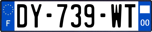 DY-739-WT