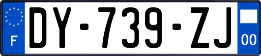 DY-739-ZJ