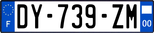 DY-739-ZM