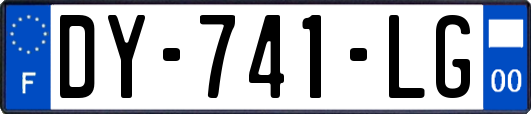 DY-741-LG