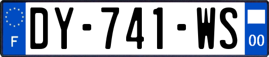 DY-741-WS