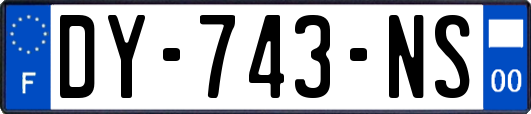 DY-743-NS