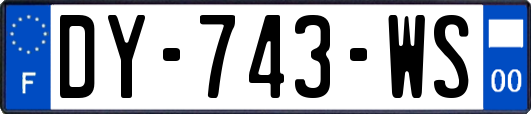 DY-743-WS