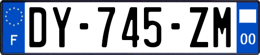 DY-745-ZM