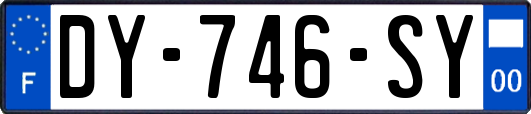 DY-746-SY