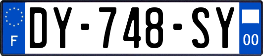 DY-748-SY