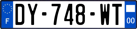 DY-748-WT