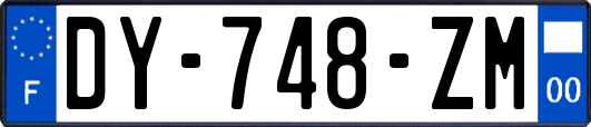 DY-748-ZM