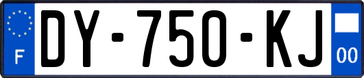 DY-750-KJ