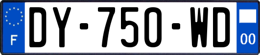 DY-750-WD