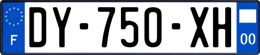 DY-750-XH