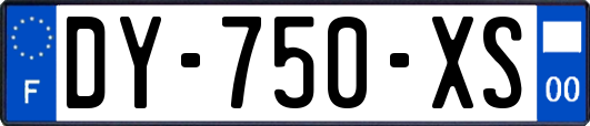 DY-750-XS