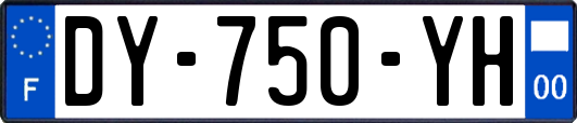 DY-750-YH