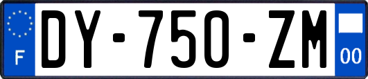 DY-750-ZM