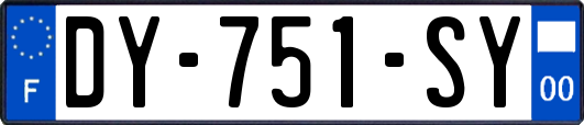 DY-751-SY