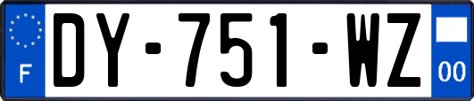 DY-751-WZ