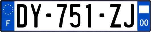 DY-751-ZJ