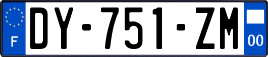 DY-751-ZM