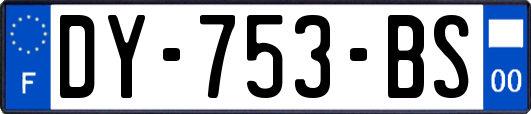 DY-753-BS