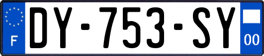 DY-753-SY