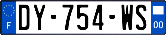 DY-754-WS