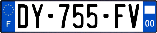 DY-755-FV