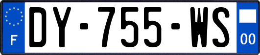 DY-755-WS