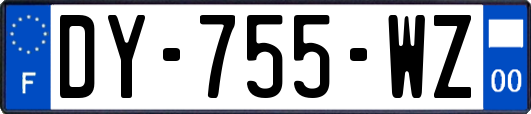 DY-755-WZ