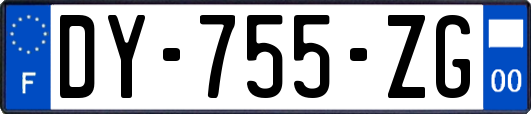 DY-755-ZG