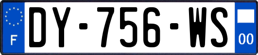 DY-756-WS