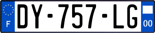 DY-757-LG