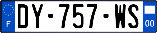 DY-757-WS