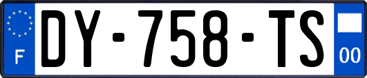 DY-758-TS