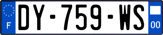 DY-759-WS