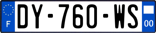 DY-760-WS